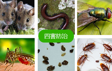 四害防治